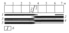 Рис. 20. Относительно резкая граница между фитоценозами соснового леса на песчаной дюне в районе Стокгольма (В.Д.Александрова, 1968): 1 - вереск (Calluna vulgaris); 2 -водяника (Empetrutn nigrum); 3 -лишайница оленья (Cladonia rangeferina); 4 -лишайница лесная (Cladonia sylvaticd); 5 -хилокомиум (Hylocomiumproliferum); 6- граница между фитоценозами; × - послед­ние побеги вереска и водяники; ширина черных полос отражает степень оби­лия видов