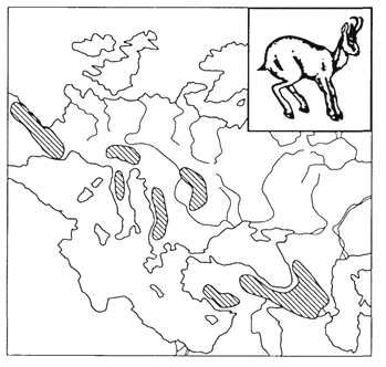 Рис. 45. Разрыв горного ареала серны (И. К.Лопатин, 1980)