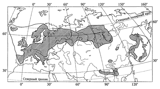Рис. 40. Распространение кислицы в пределах Евразии (А.И.Толмачев, 1974)