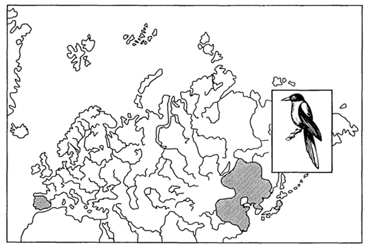 Рис. 48. Амфиевро-азиатский неморальный ареал голубой сороки (Г. М. Абдурахманов и др., 2001)